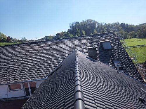 Dachsanierung